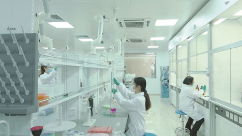 擴大檢測能力，深化企業服務 市食藥檢科院打造嵌入式服務金名片