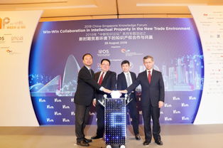 深化中新知識產(chǎn)權(quán)交流,加快推進(jìn)合作項目落地