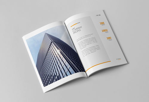 簡(jiǎn)約大氣，專業(yè)信賴 商務(wù)咨詢與投資企業(yè)公司畫(huà)冊(cè)